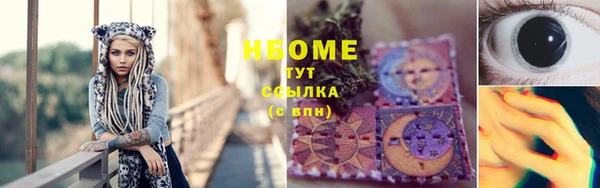 хмурый Алексин