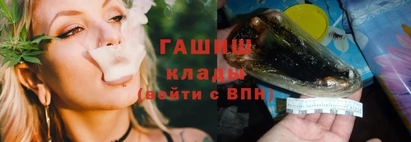 хмурый Алексин