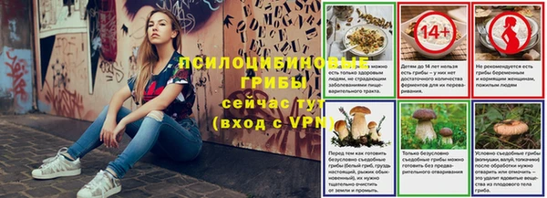 хмурый Алексин