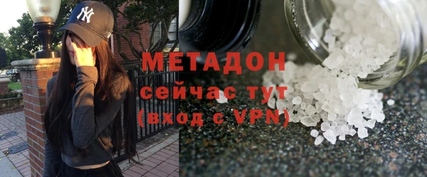 хмурый Алексин