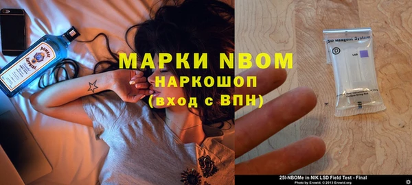 хмурый Алексин