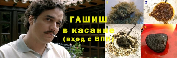 хмурый Алексин
