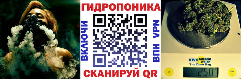 продажа наркотиков  дарк нет клад  Канабис планчик  Усть-Лабинск 